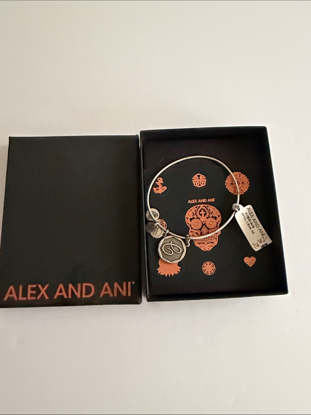 Alex and Ani Silver Zodiac Charm Bangle Inital “C” New in Box